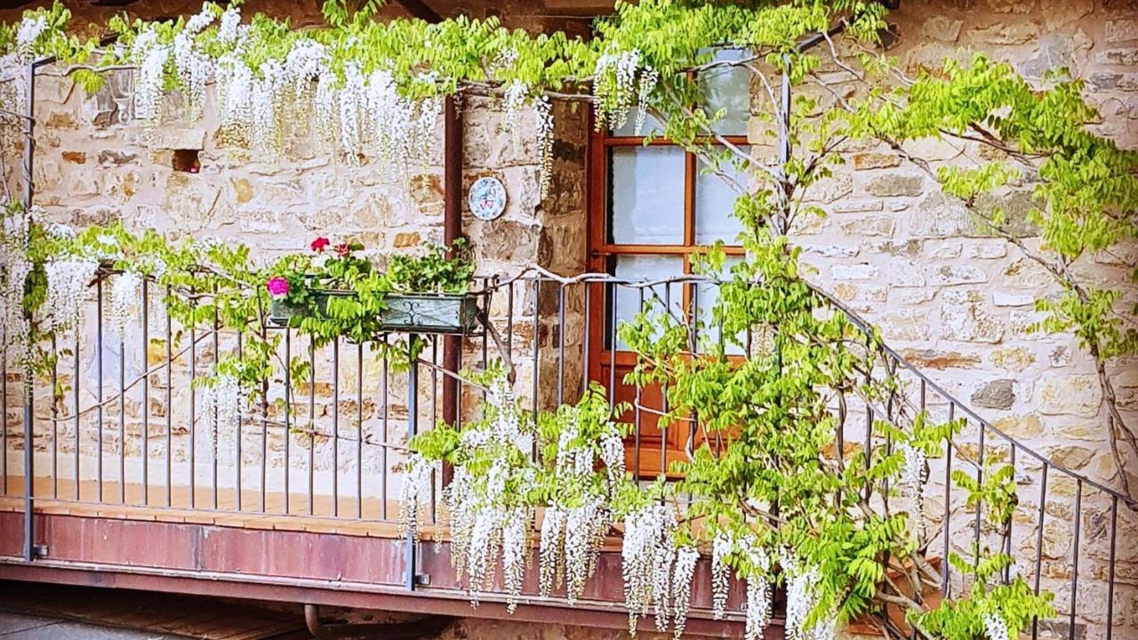 Hotel Podere Conti Filattiera Exterior photo
